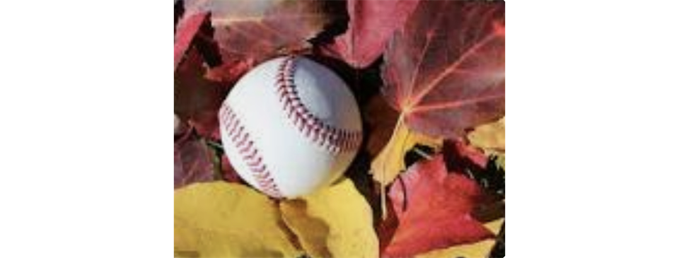 2026 Fall Baseball Registration Is Open!!